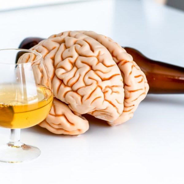 How alcohol affects the brain